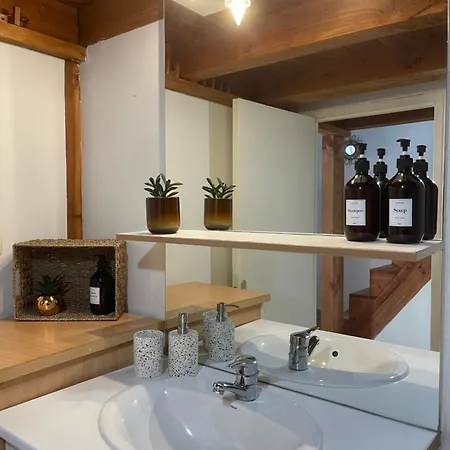 L'authentique Des Carmes Appartement *