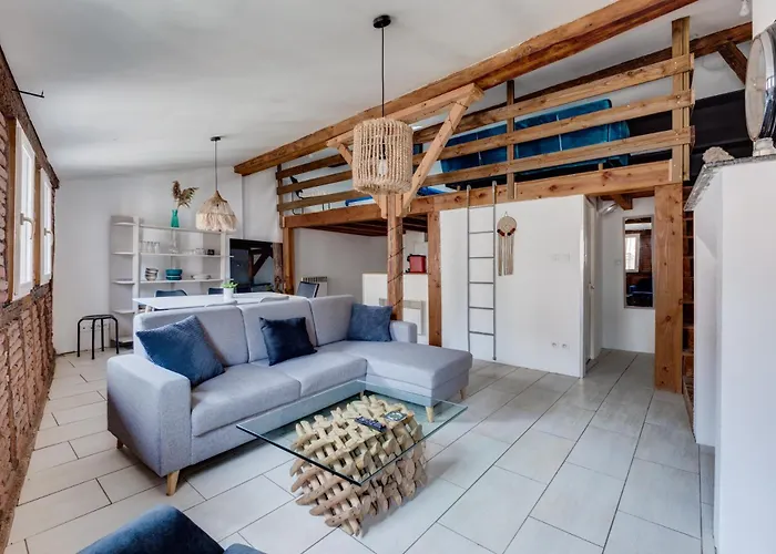 L'authentique Des Carmes Appartamento Tolosa