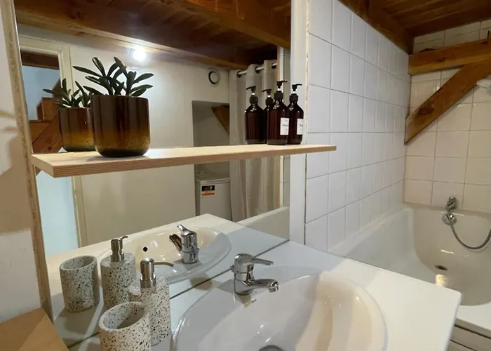 L'authentique Des Carmes Apartamento