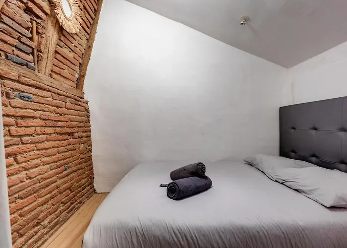 公寓 L'authentique Des Carmes 圖盧茲